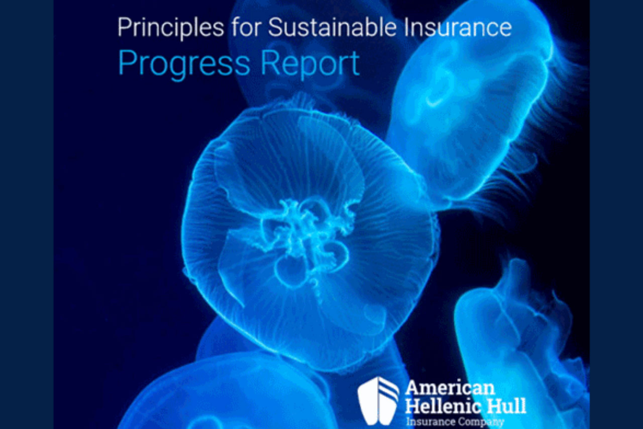 Principles for Sustainable Insurance Progress Report